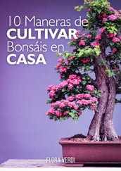 10 Maneras de Cultivar Bonsáis en Casa