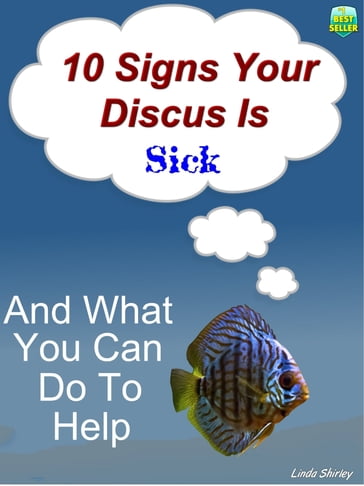 10 Signs Your Discus Is Sick - Brad Shirley