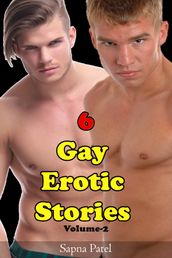 6 Gay Erotic Stories Volume-2