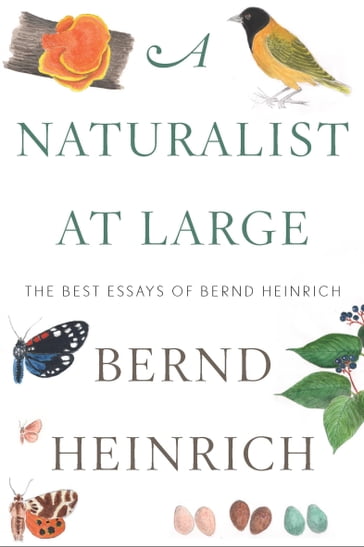 A Naturalist at Large - Heinrich Bernd