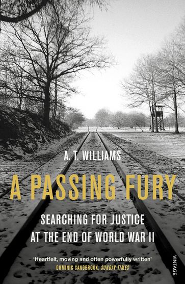 A Passing Fury - A. T. Williams