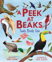 A Peek at Beaks