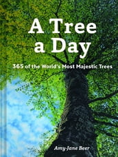 A Tree a Day