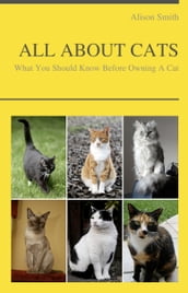 ALL ABOUT CATS - What You Should Know Before Owning A Cat