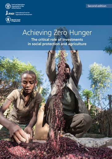 Achieving Zero Hunger: The Critical Role of Investments in Social Protection and Agriculture. Second Edition - Food and Agriculture Organization of the United Nations