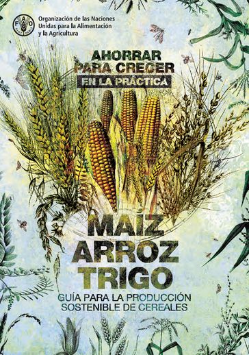 Ahorrar para crecer en la práctica: maíz, arroz, trigo: Guía para la producción sostenible de cereales - Food and Agriculture Organization of the United Nations