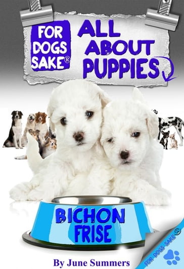 All About Bichon-Frise Puppies - June Summers