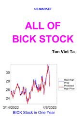 All of BICK Stock