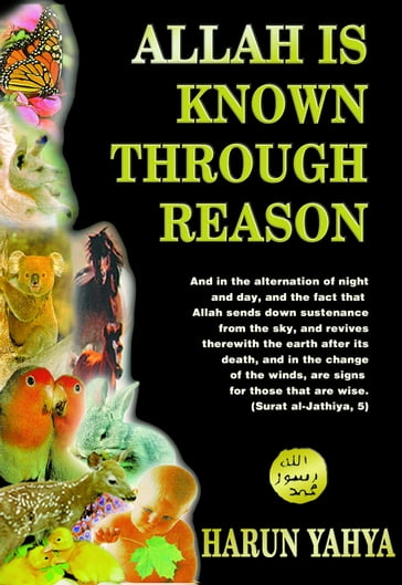Allah Is Known Through Reason - Harun Yahya