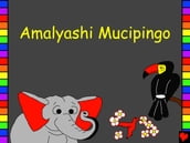 Amalyashi Mucipingo