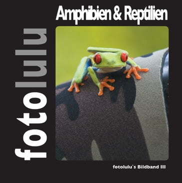 Amphibien & Reptilien - fotolulu