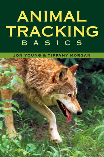 Animal Tracking Basics - Jon Young - Tiffany Morgan
