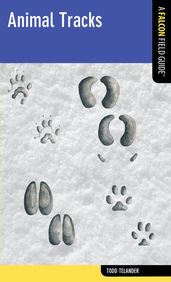 Animal Tracks