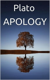 Apology