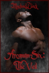 Arcanum 6: The Veil