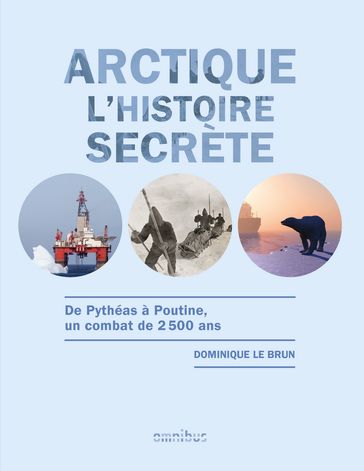 Arctique - L'histoire secrète - Dominique Le Brun