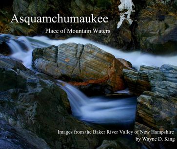 Asquamchumaukee Place of Mountain Waters - Wayne King