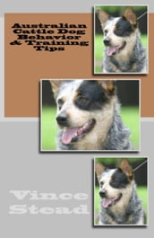 Australian Cattle Dog Behavior & Training Tips