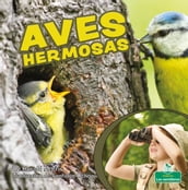 Aves hermosas (Beautiful Birds)