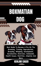 BOXMATIAN DOG