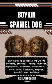 BOYKIN SPANIEL DOG