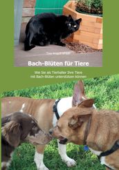 Bach-Blüten für Tiere