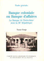 Banque coloniale ou banque d affaires