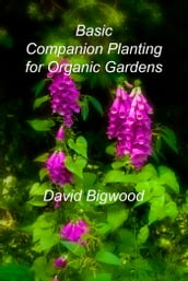 Basic Companion Planting for Organic Gardens