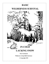 Basic Wilderness Survival in Cold Lacking Snow
