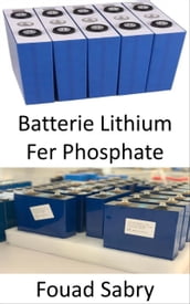 Batterie Lithium Fer Phosphate