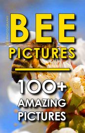 Bee Photography - Bee Pictures