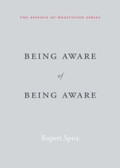 Being Aware of Being Aware