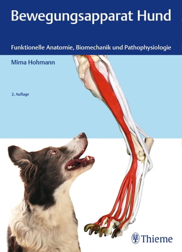 Bewegungsapparat Hund - Mima Hohmann