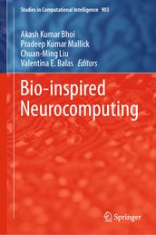 Bio-inspired Neurocomputing