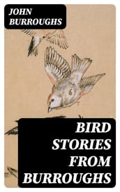 Bird Stories from Burroughs