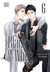 Black or White, Vol. 6 (Yaoi Manga)