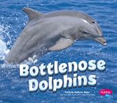 Bottlenose Dolphins