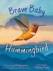 Brave Baby Hummingbird