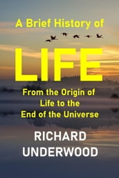 A Brief History of Life: From the Origin of Life to the End of the Universe