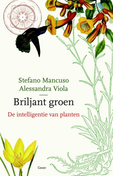 Briljant groen - Allessandra Viola - Stefano Mancuso