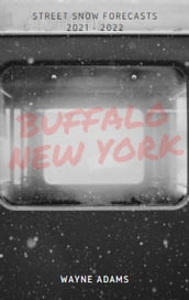 Buffalo New York Winter Snow Forecasts Per Street