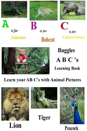 Buggles A B C Learning Book - Michael Taven Hill