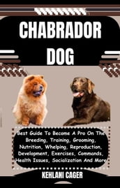 CHABRADOR DOG