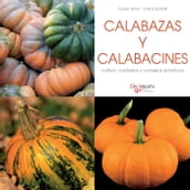 Calabazas y calabacines - cultivo, cuidados y condejos prácticos