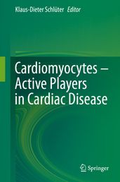 Cardiomyocytes  Active Players in Cardiac Disease