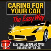 Caring For Your Car The Easy Way