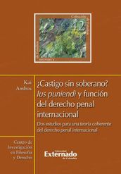 Castigo sin soberano? Ius puniendi y función del derecho penal internacional