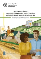 Catalysing Young Agri-Entrepreneurs  Investments and Ensuring Their Sustainability: Strategic Planning Tool
