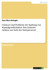 Chancen und Probleme der Spaltung von Kapitalgesellschaften. Eine kritische Analyse aus Sicht des Entrepreneurs