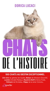 Chats de l histoire